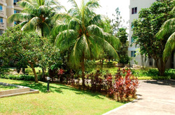 Elias Green (D18), Condominium #450988441
